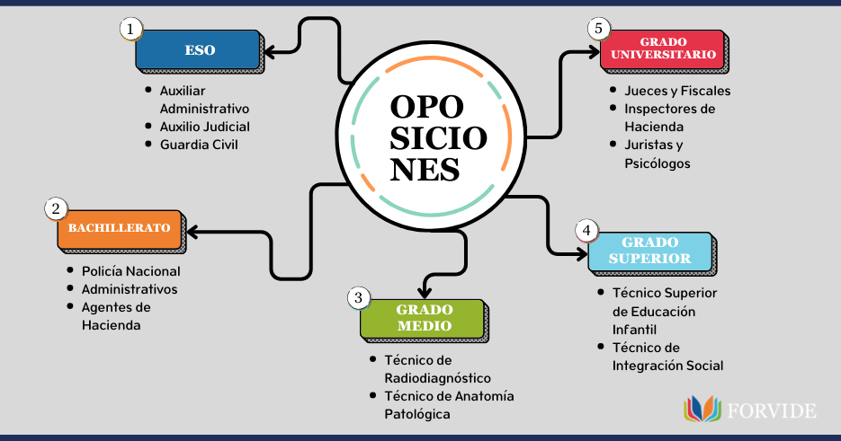 Listado de las oposiciones a las que te puedes presentar según los estudios