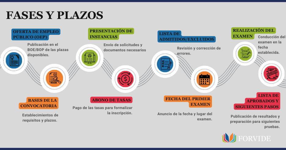 infografía visual sobre las fases y plazos de las oposiciones