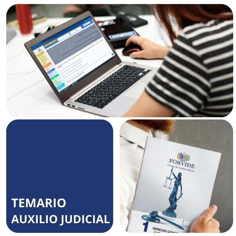 temario auxilio judicial